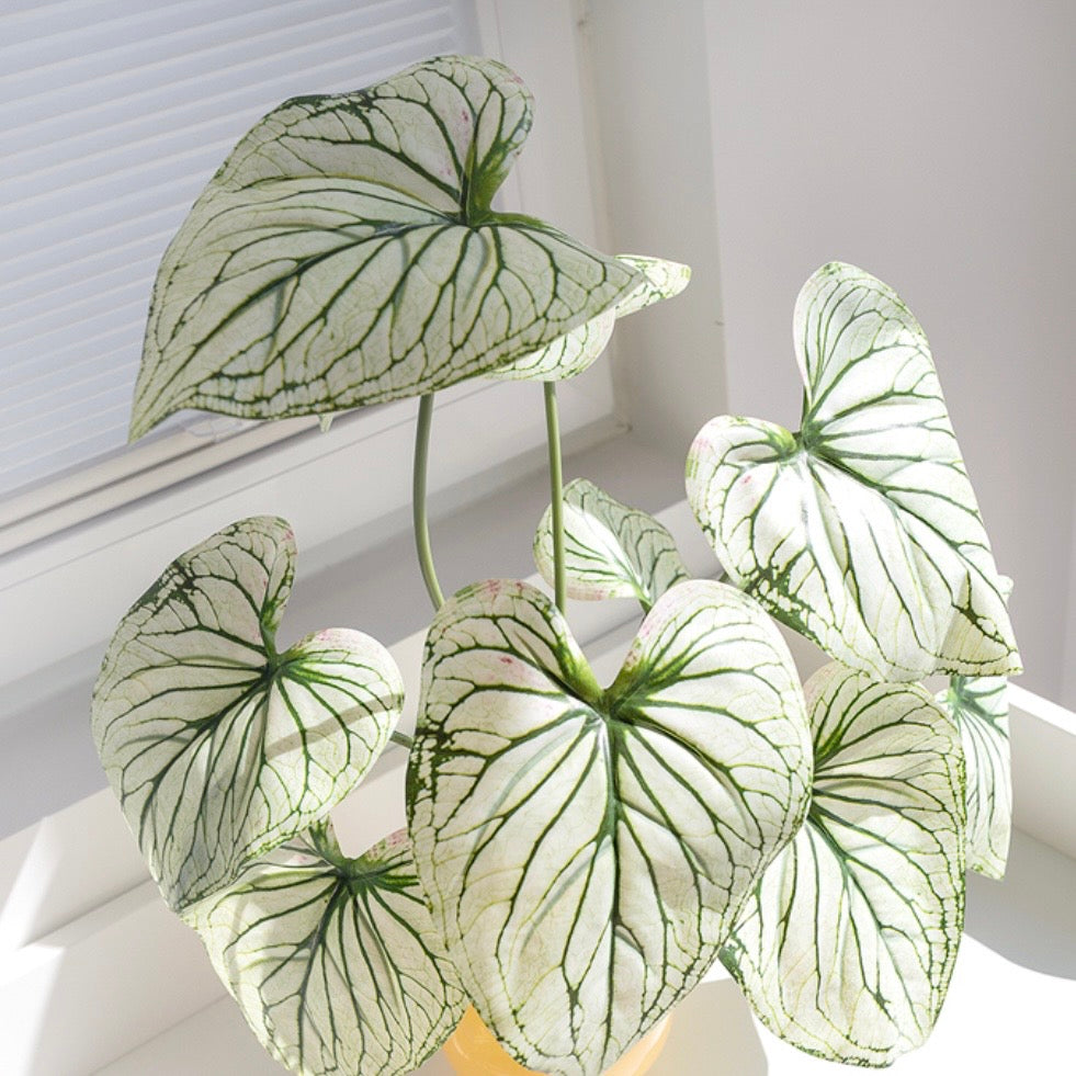 Caladium Volume Bush – Artificial Plant for Home Decor