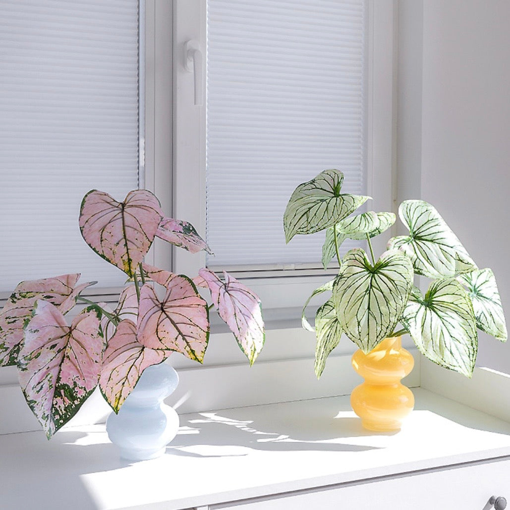 Caladium Volume Bush – Artificial Plant for Home Decor