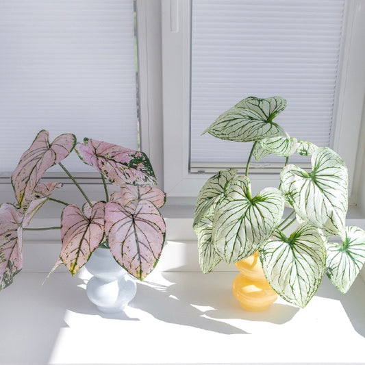 Caladium Volume Bush – Artificial Plant for Home Decor